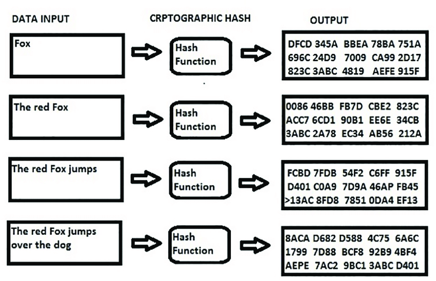 How Does A Hash Help Secure Blockchain Technology | DCA