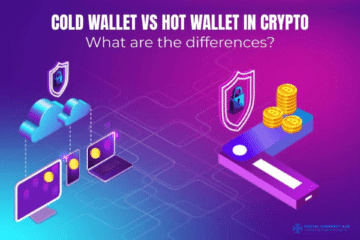 how are cryptocurrency hot wallets different from cold wallets
